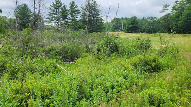 $135,000 | 0 Dana Mill Road, Woolwich, ME 04579