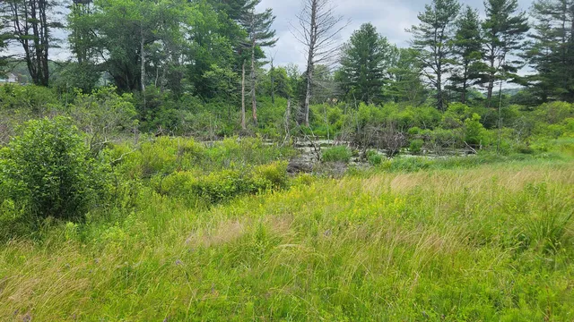 $135,000 | 0 Dana Mill Road, Woolwich, ME 04579