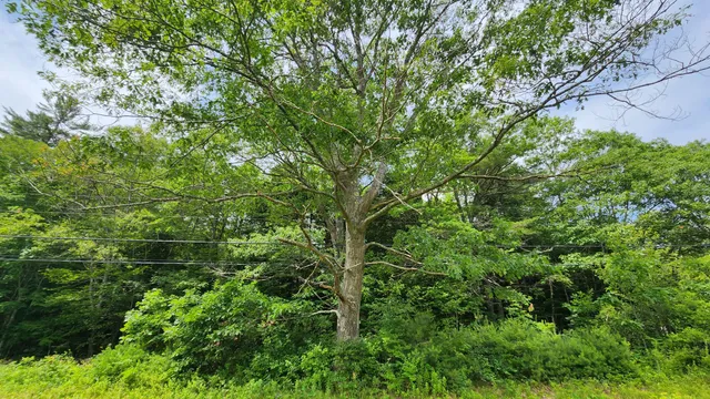 $135,000 | 0 Dana Mill Road, Woolwich, ME 04579