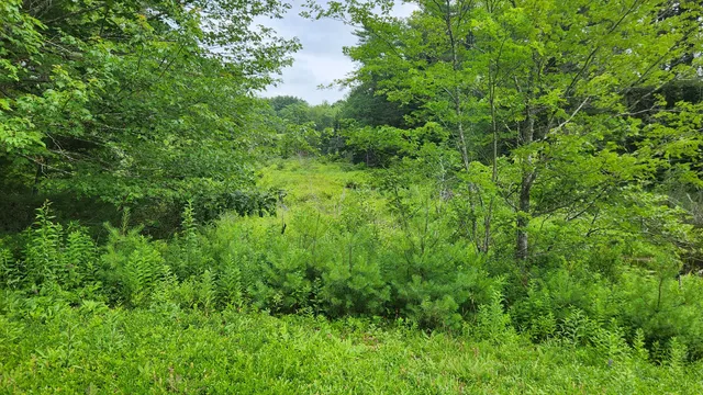 $135,000 | 0 Dana Mill Road, Woolwich, ME 04579