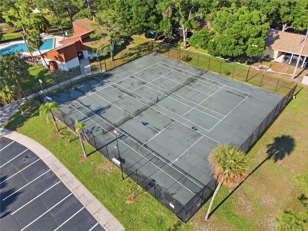 2058 Sunset Point Road, Unit 15 Clearwater, FL 33765 - Photo 44 of 52
