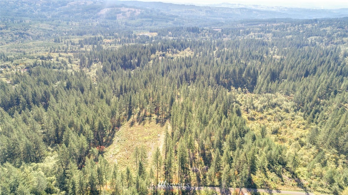 0 Tbd 3 Camas, WA 98607 - Photo 2 of 5