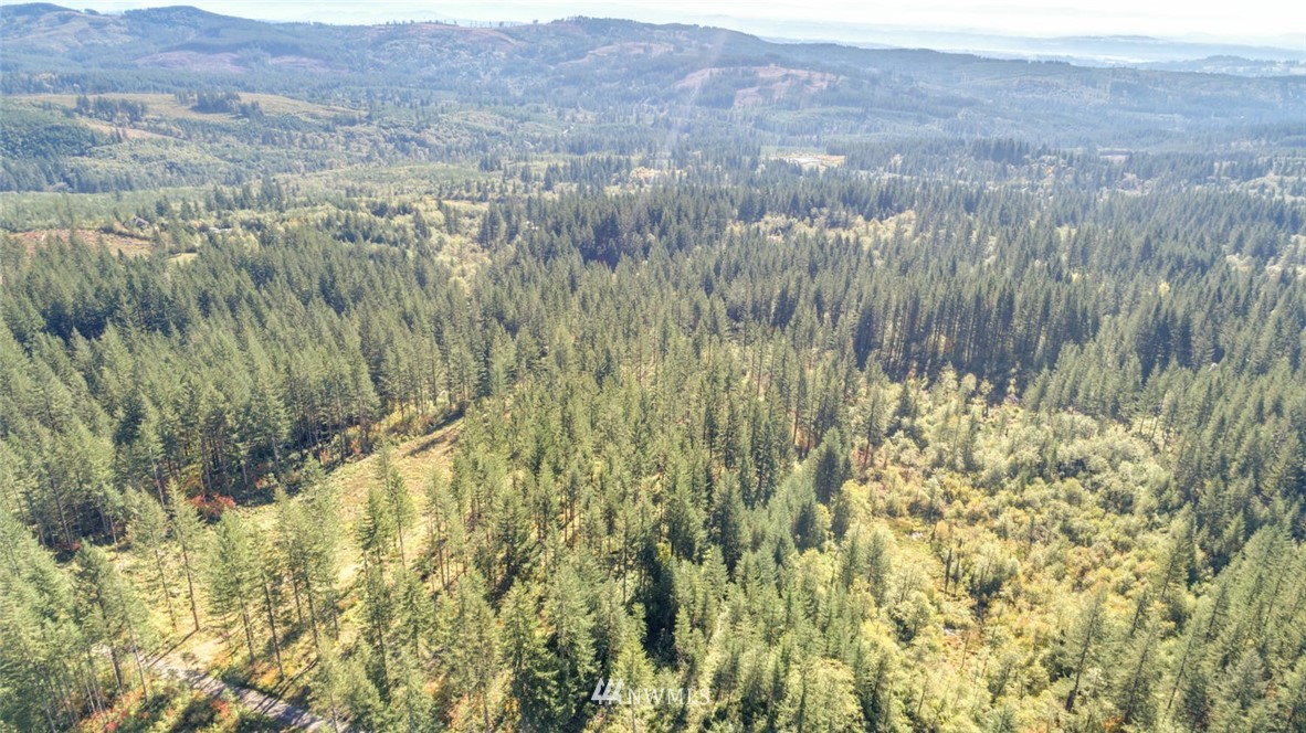 0 Tbd 3 Camas, WA 98607 - Photo 3 of 5