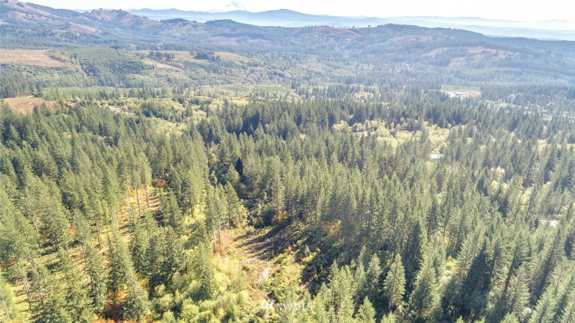 0 Tbd 3 Camas, WA 98607 - Photo 4 of 5