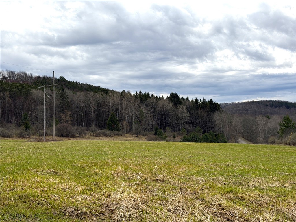 Lot 7 Summit Road Cuba, NY 14727 - Photo 14 of 31