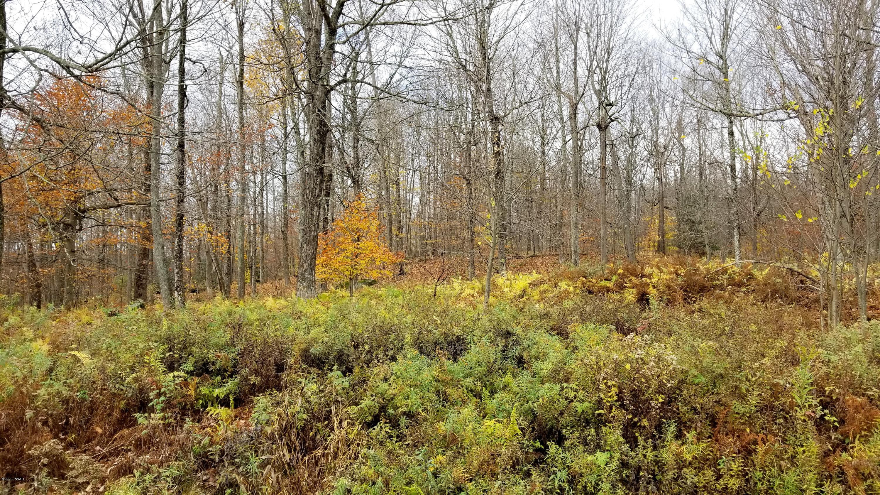 Lot 63 Old Woods Road Equinunk, PA 18417 - Photo 18 of 63