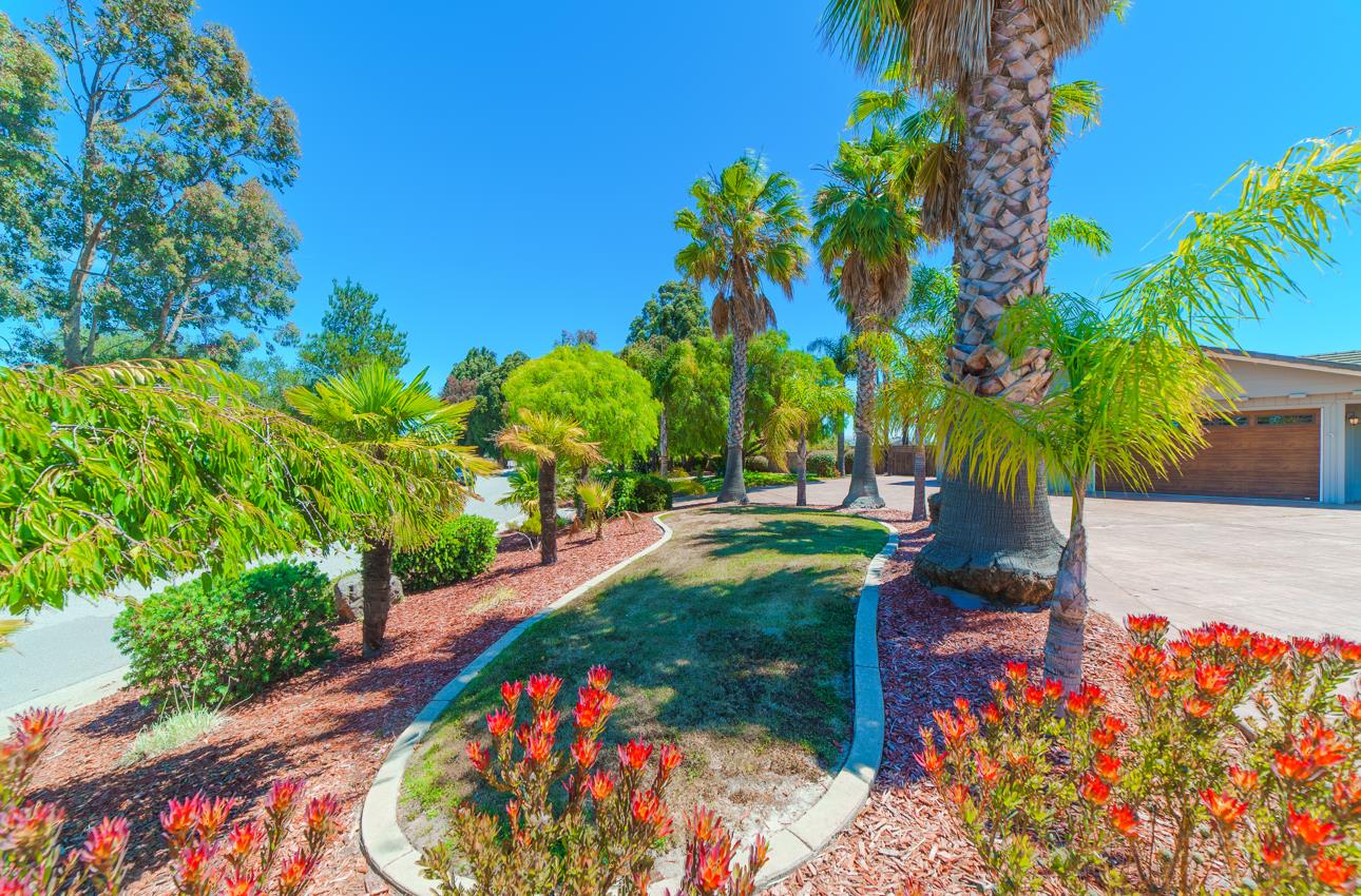 22125 Ranchito Drive Salinas, CA 93908 - Photo 61 of 66 a view of a garden with flowers