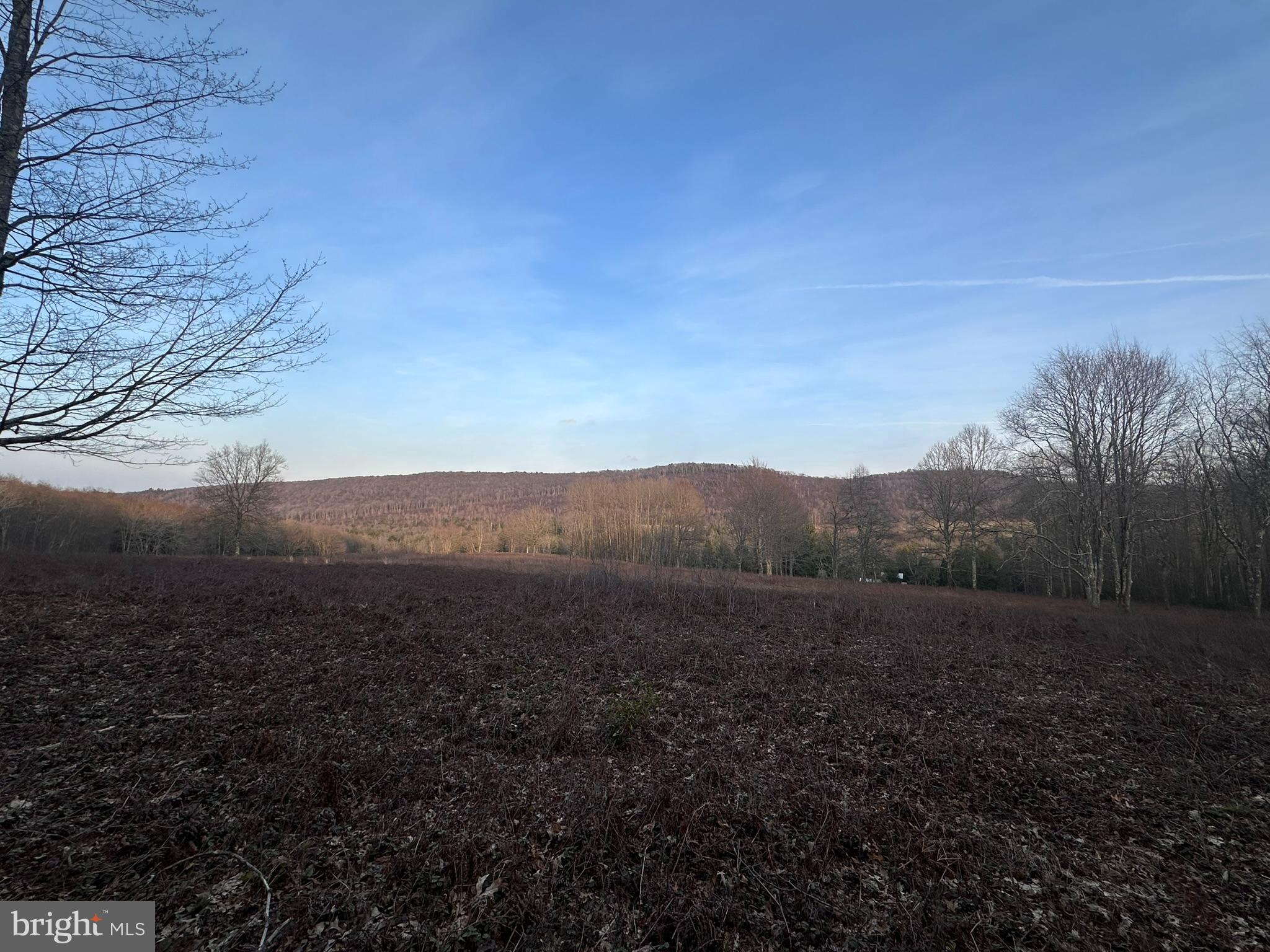 1157 Lakeford Road Terra Alta, WV 26764 - Photo 12 of 33