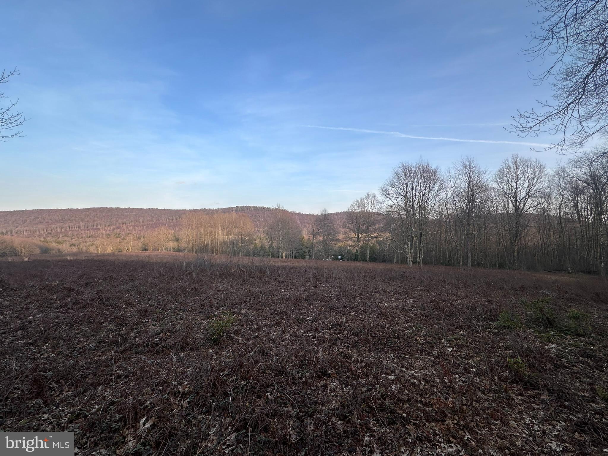 1157 Lakeford Road Terra Alta, WV 26764 - Photo 13 of 33