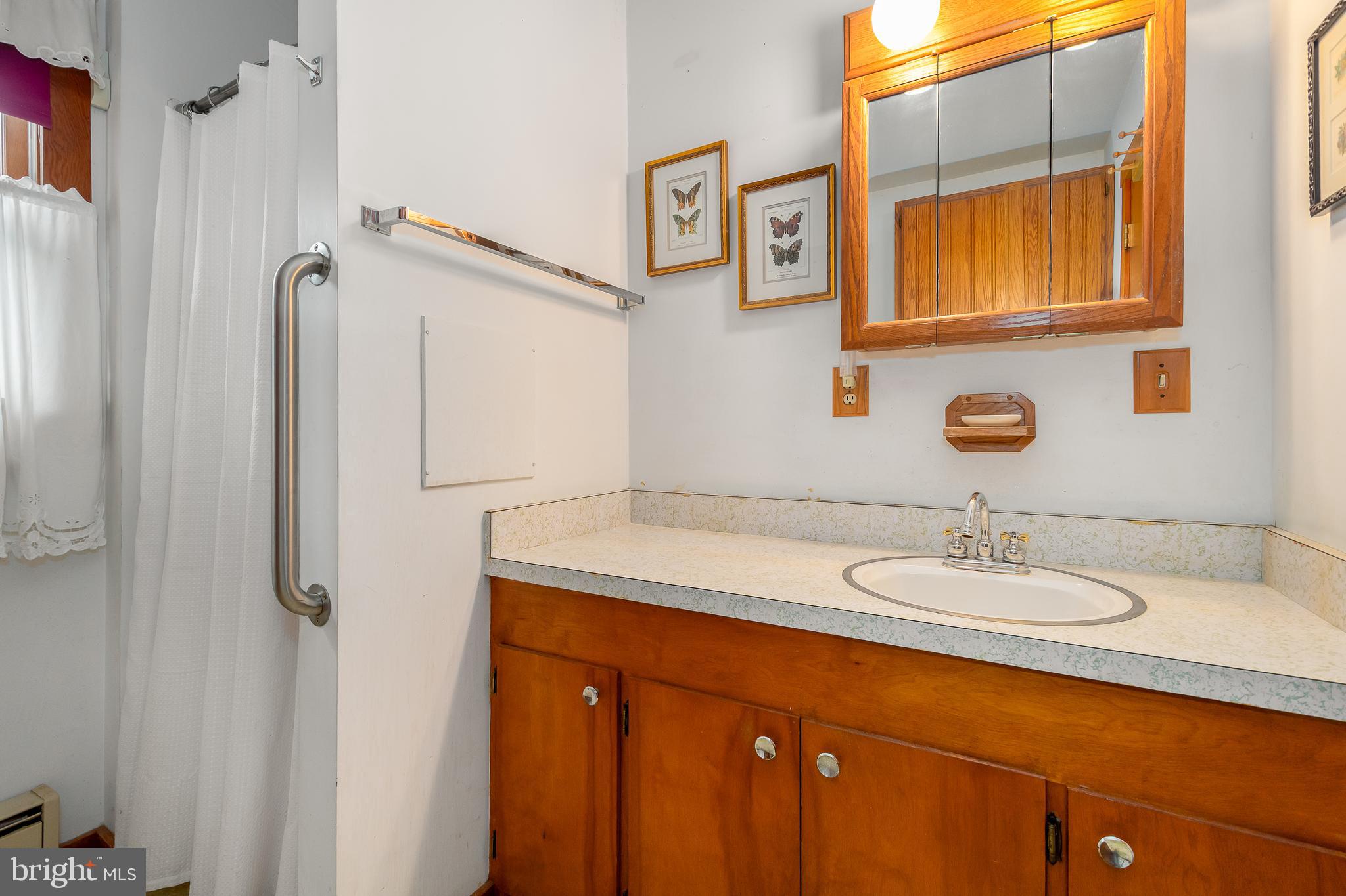 1157 Lakeford Road Terra Alta, WV 26764 - Photo 28 of 37 a bathroom with a sink and a mirror