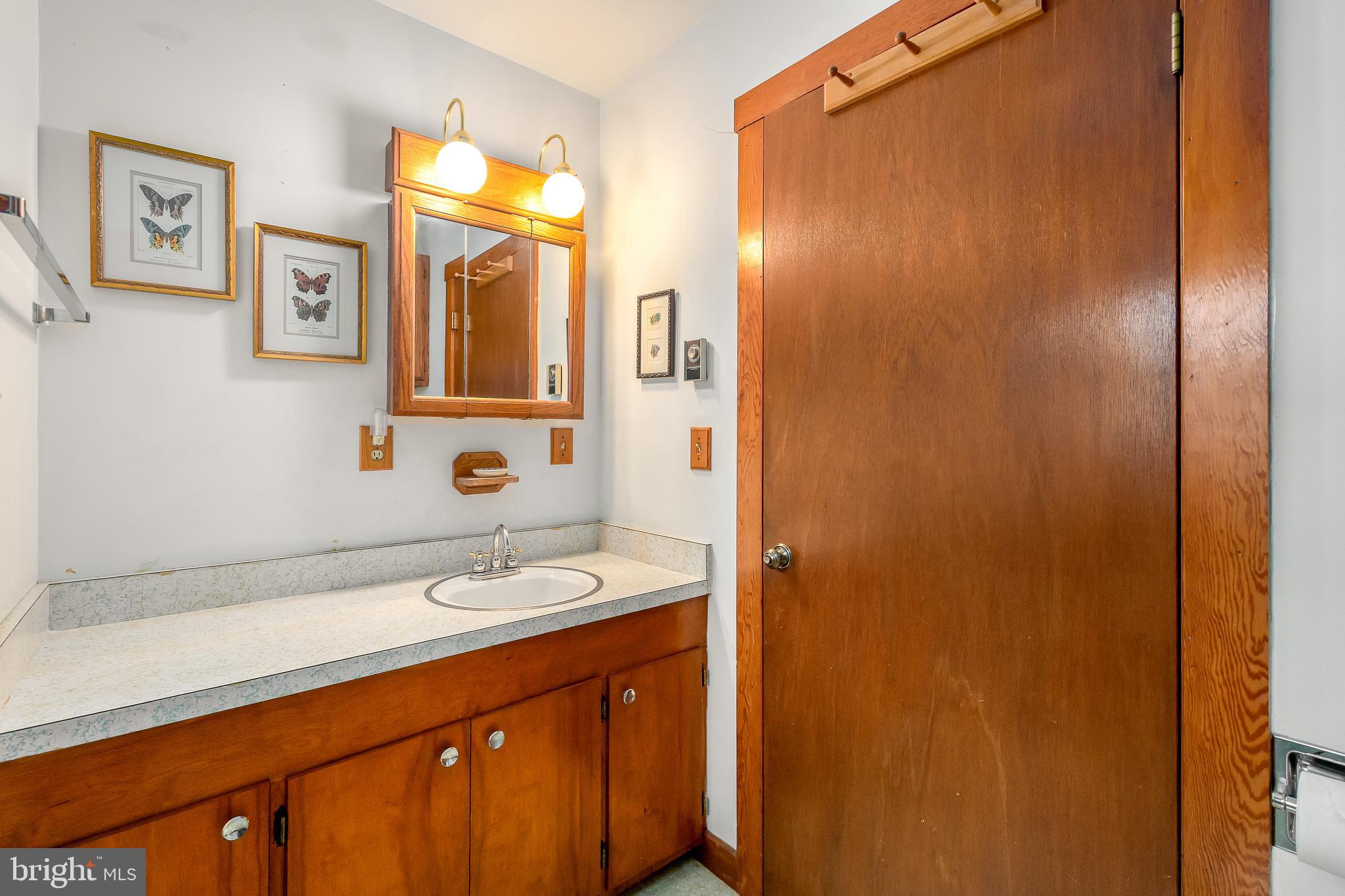 1157 Lakeford Road Terra Alta, WV 26764 - Photo 29 of 37 a bathroom with a sink and a mirror