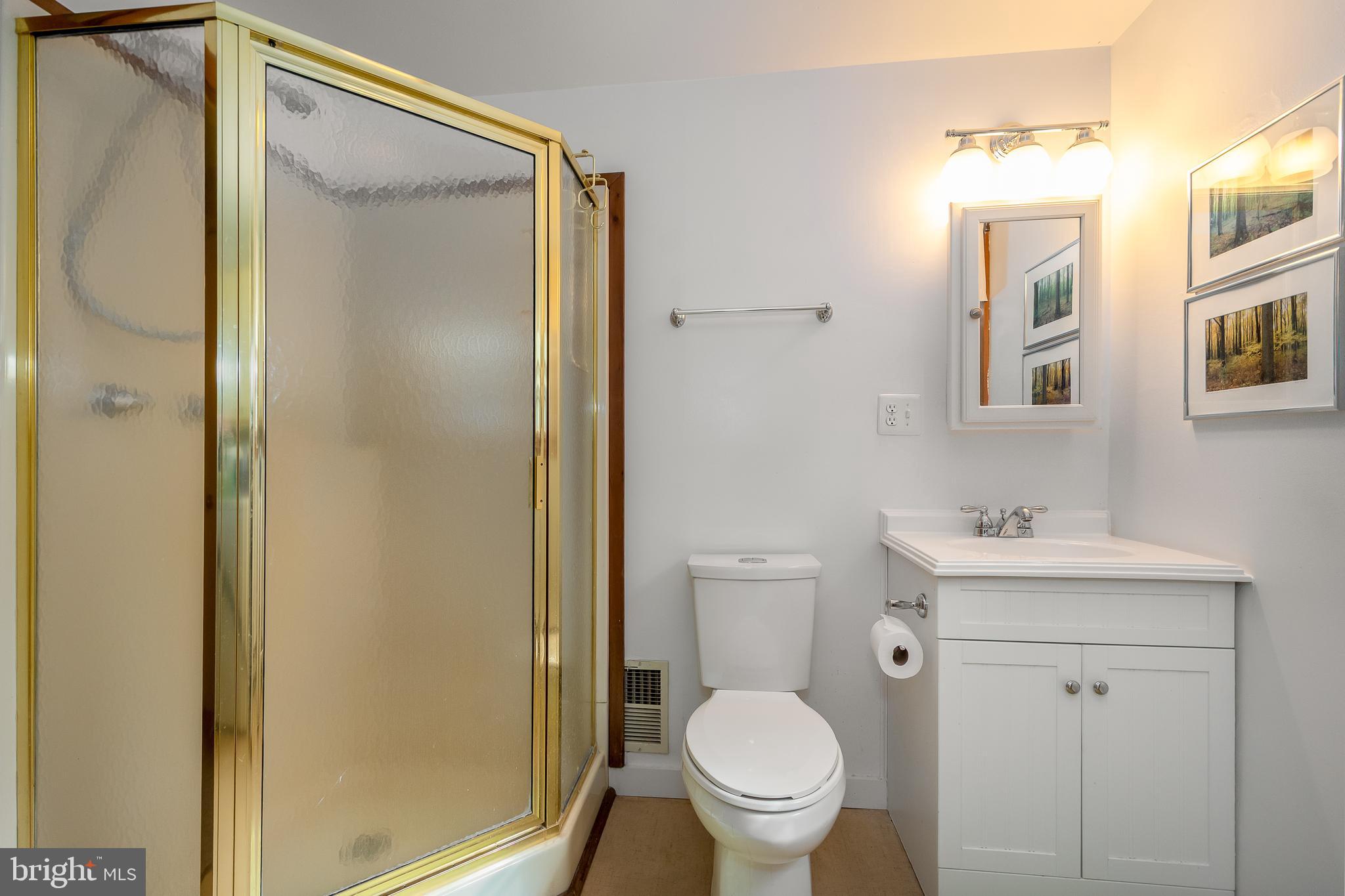 1157 Lakeford Road Terra Alta, WV 26764 - Photo 35 of 37 a bathroom with a sink toilet and shower