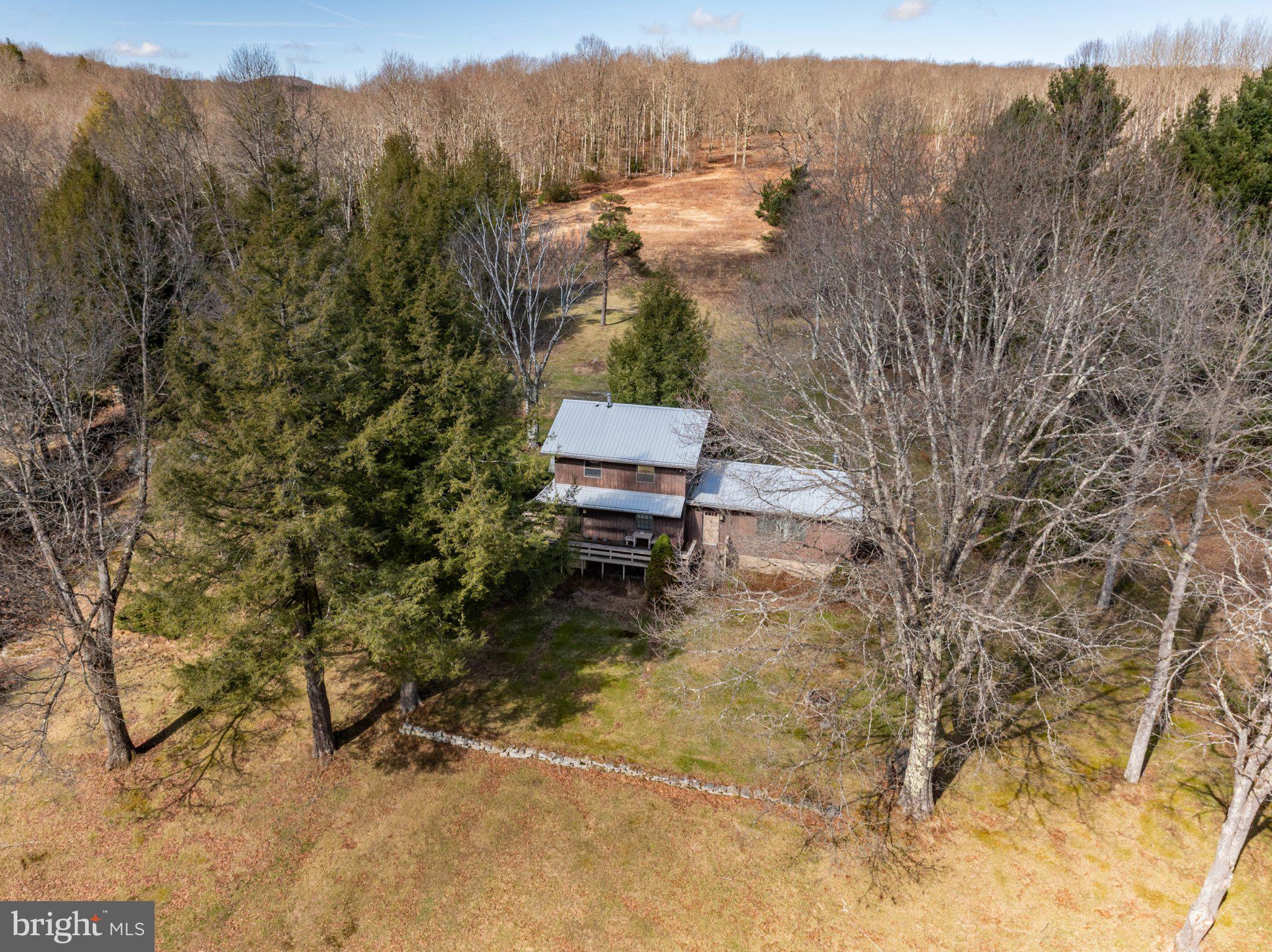 1157 Lakeford Road Terra Alta, WV 26764 - Photo 4 of 33 Secluded retreat among towering trees.