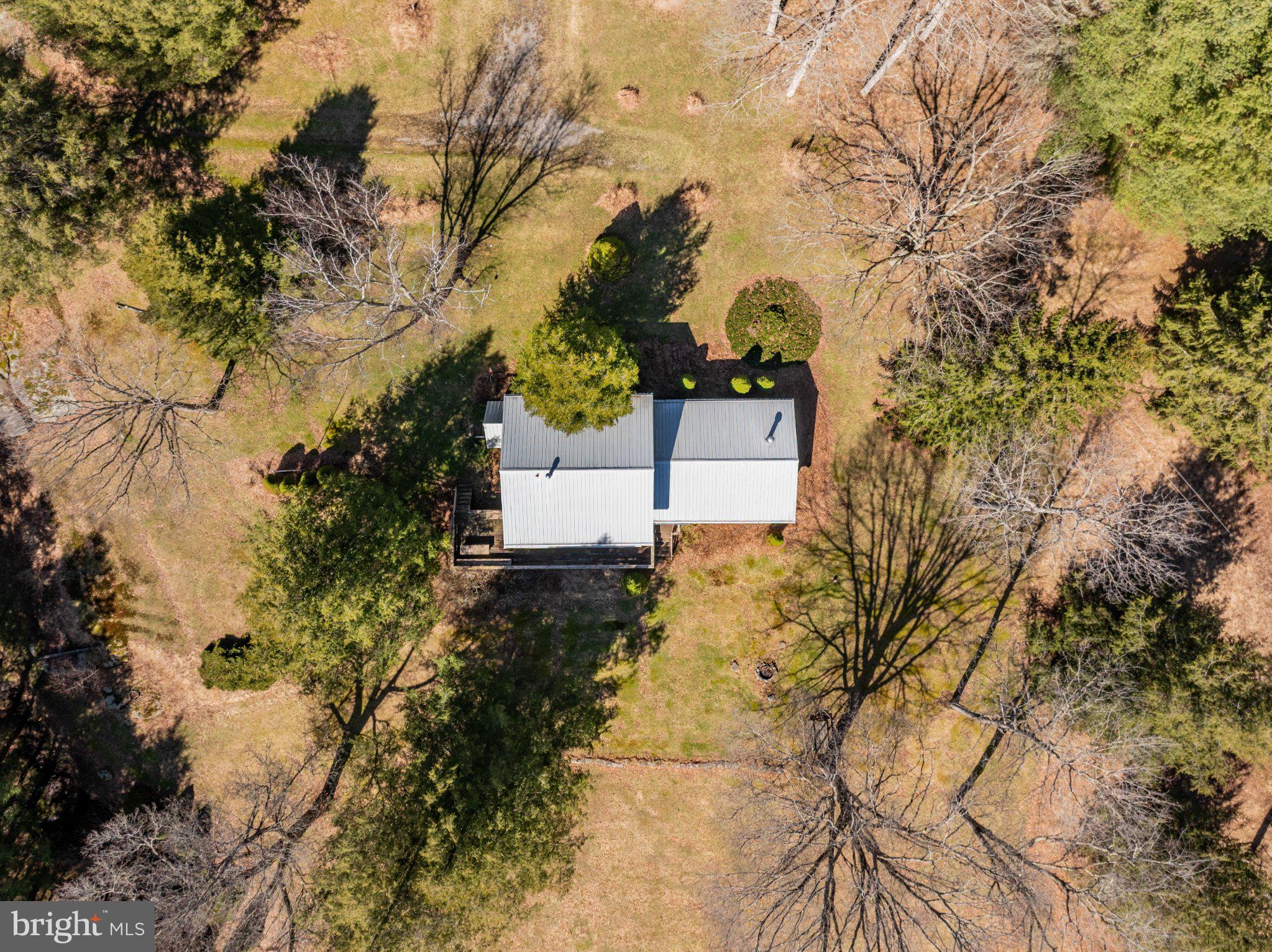 1157 Lakeford Road Terra Alta, WV 26764 - Photo 5 of 33 Serene retreat amidst lush greenery.