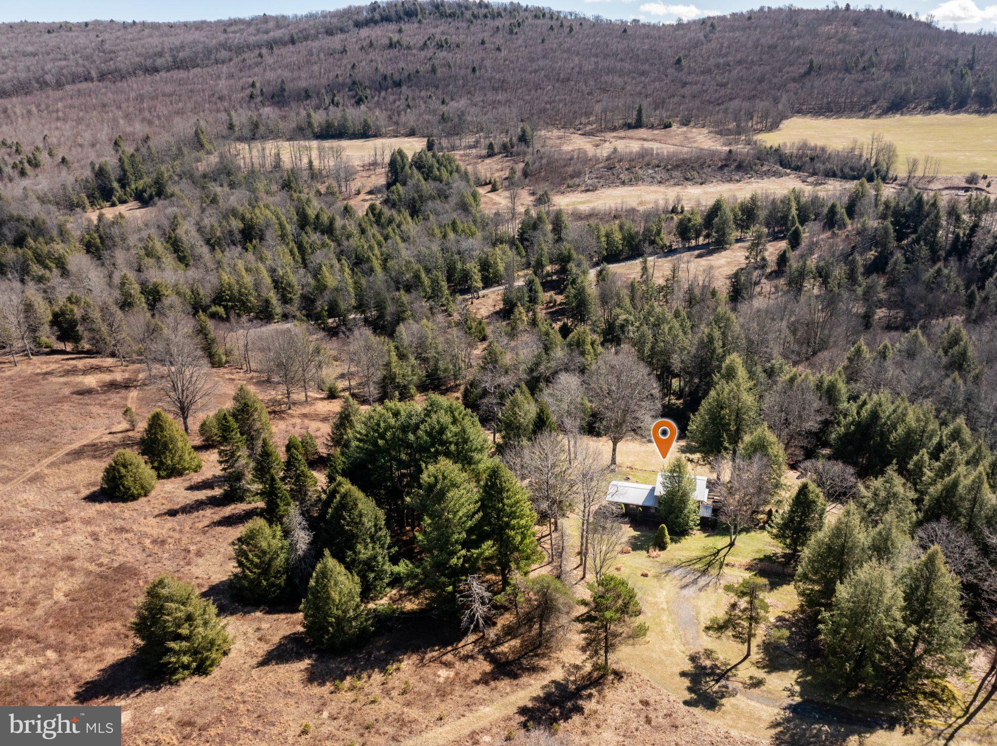 1157 Lakeford Road Terra Alta, WV 26764 - Photo 8 of 33 Secluded retreat amidst nature's embrace.