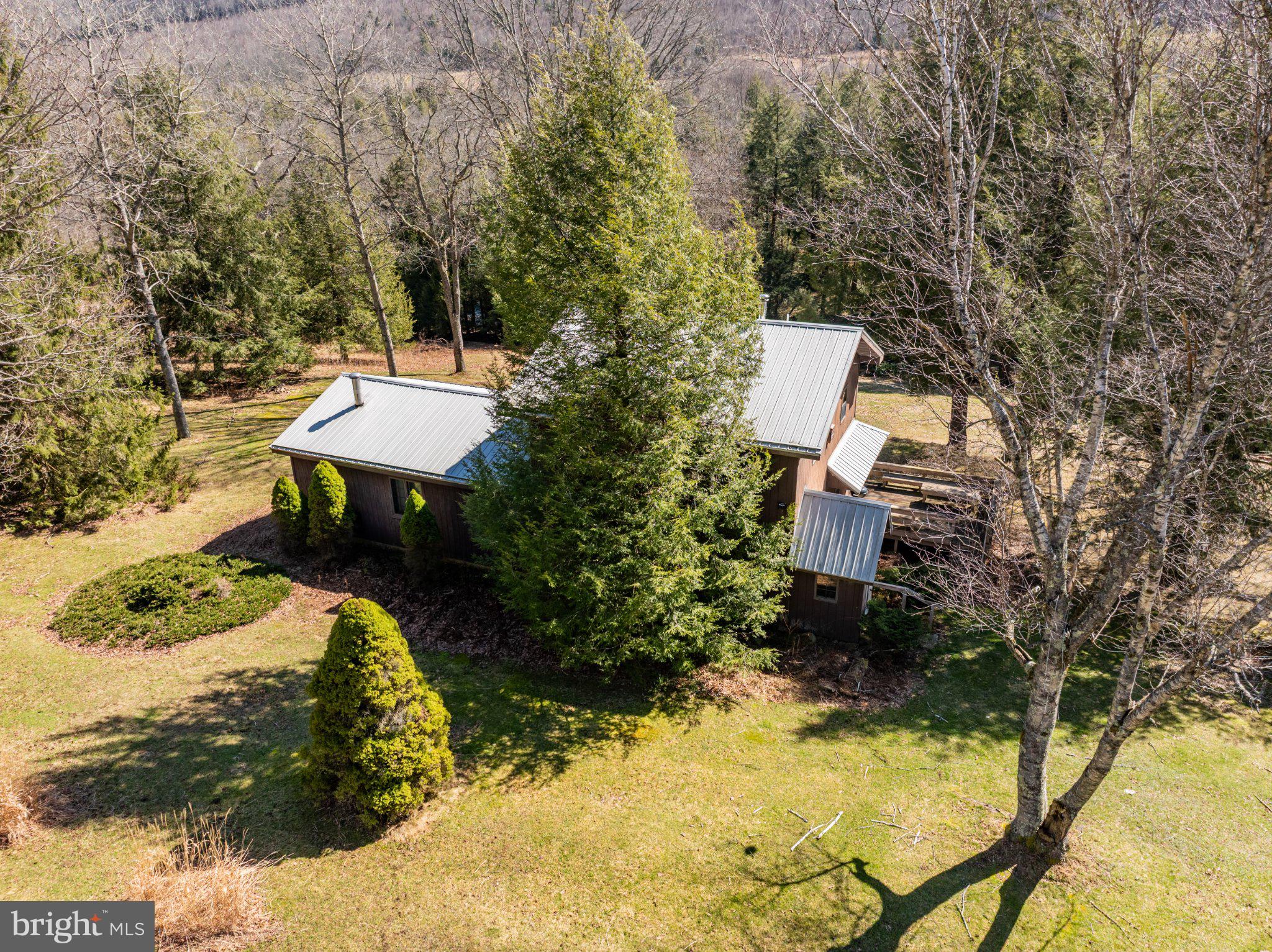 1157 Lakeford Road Terra Alta, WV 26764 - Photo 10 of 33 Serene retreat amidst lush greenery.