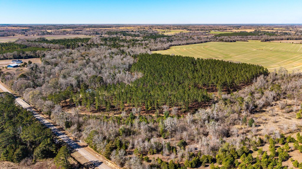 0 Bruner Pond Road Ashford, AL 36312 - Photo 3 of 30