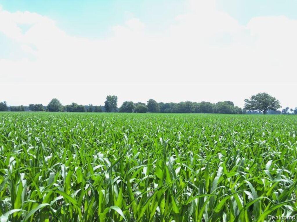 Auction Lot #3 Auction Road Allenton, MI 48002 - Photo 3 of 4
