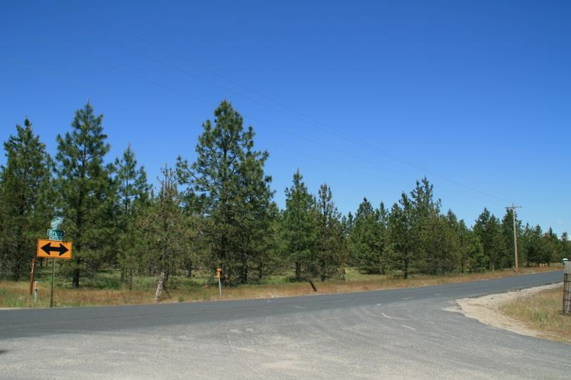 Lot 12 North Bruce Road Chattaroy, WA 99003 - Photo 2 of 8