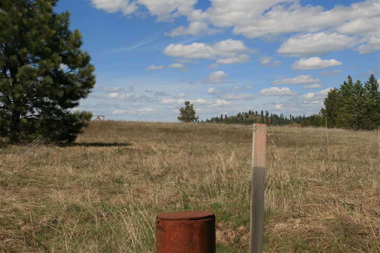 Lot 12 North Bruce Road Chattaroy, WA 99003 - Photo 3 of 8