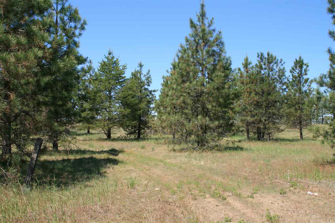 Lot 12 North Bruce Road Chattaroy, WA 99003 - Photo 4 of 8