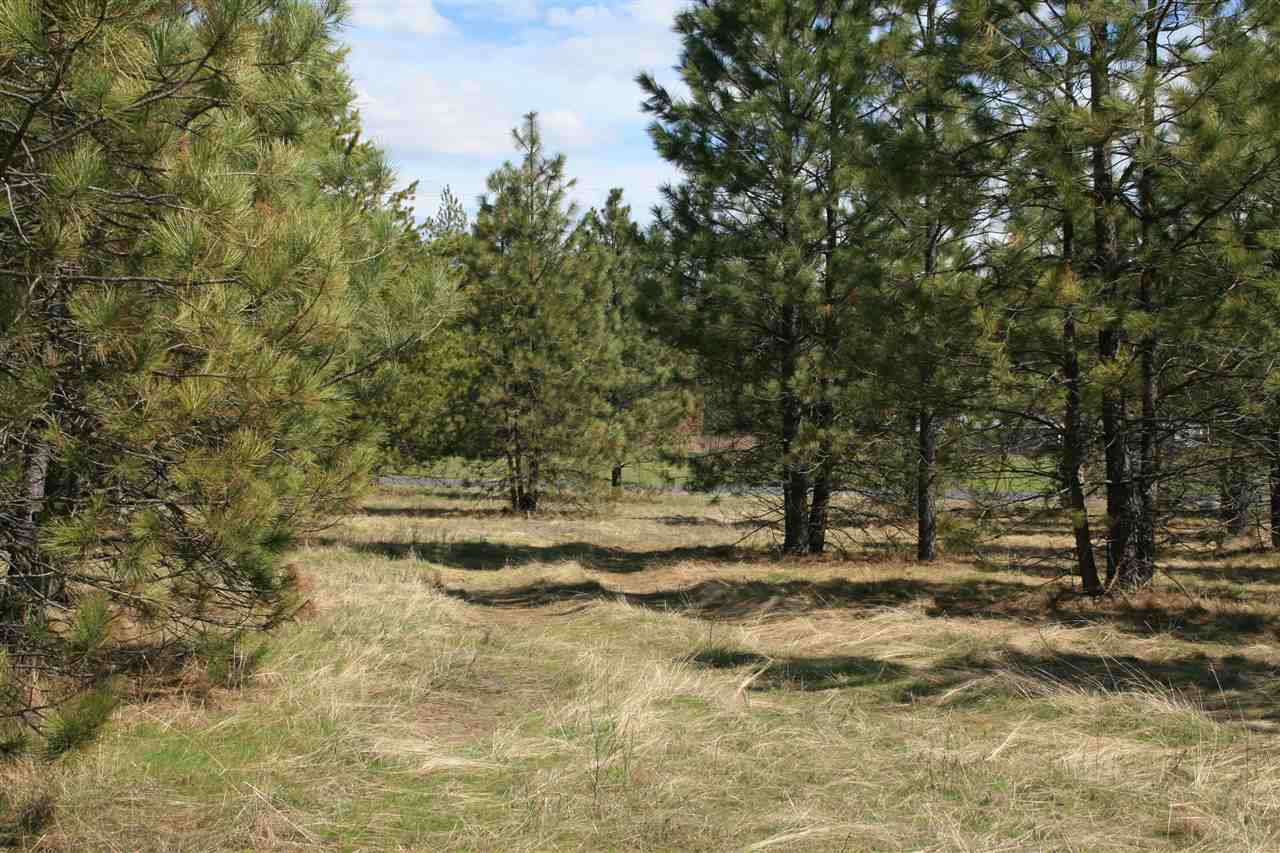 Lot 12 North Bruce Road Chattaroy, WA 99003 - Photo 5 of 8