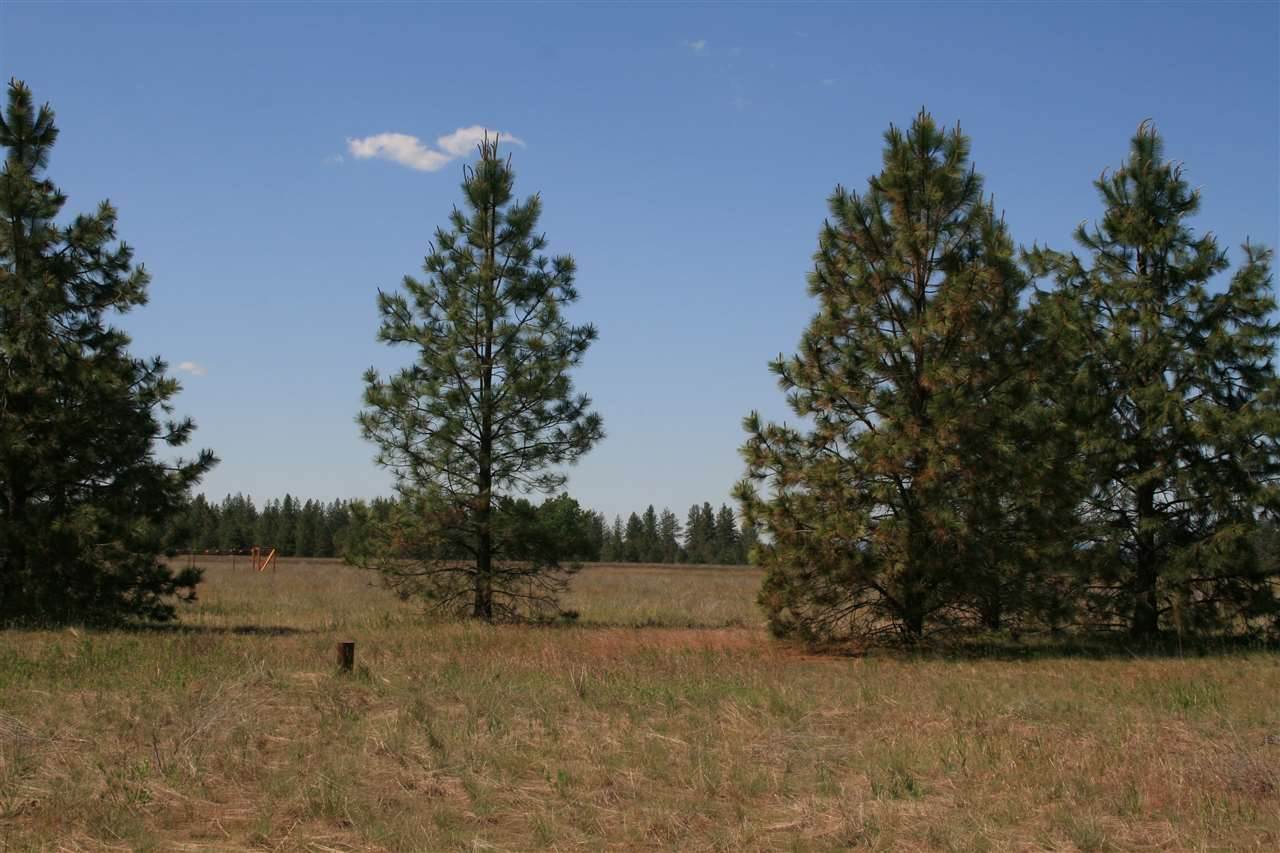Lot 12 North Bruce Road Chattaroy, WA 99003 - Photo 6 of 8