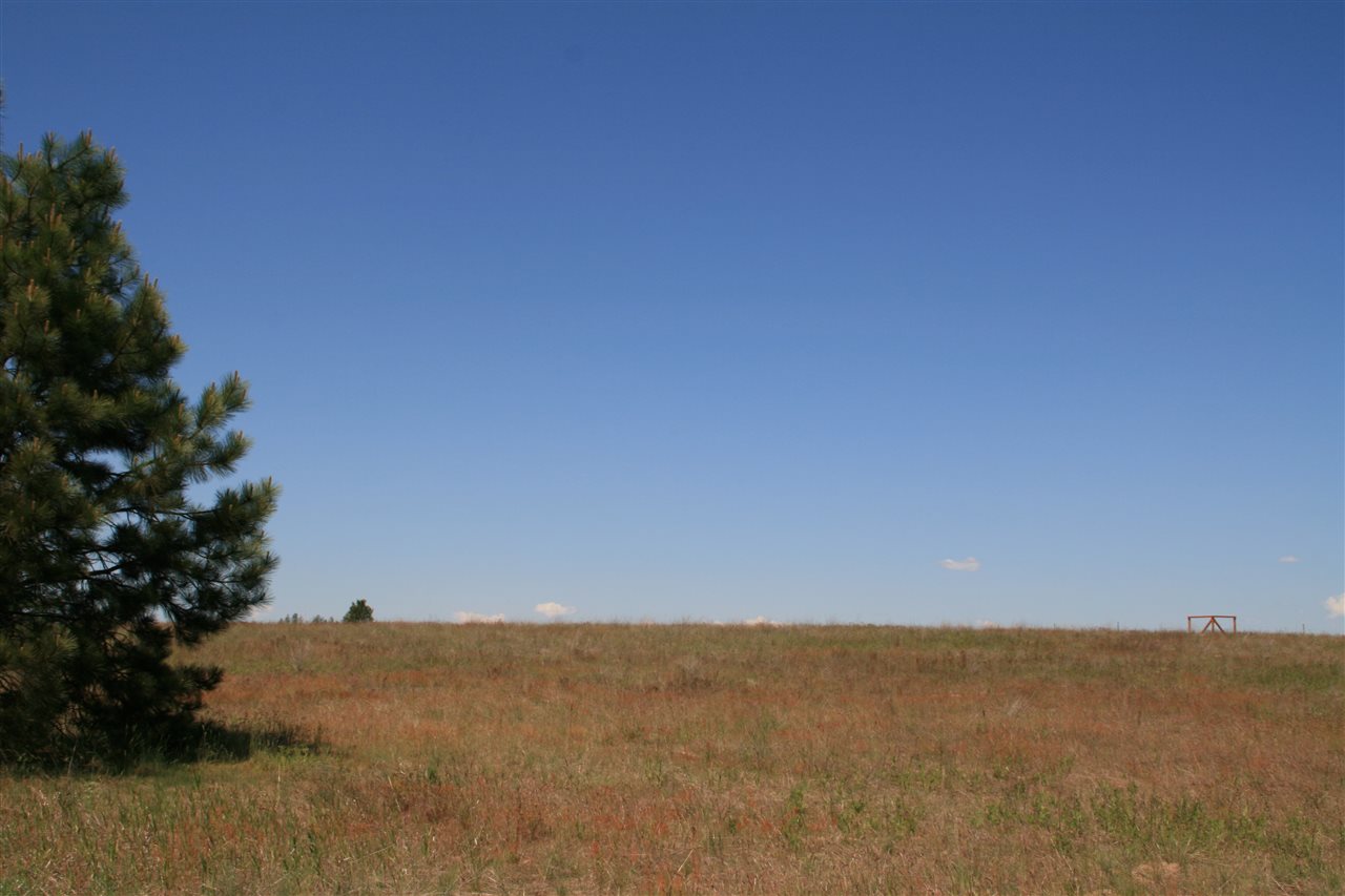 Lot 12 North Bruce Road Chattaroy, WA 99003 - Photo 7 of 8