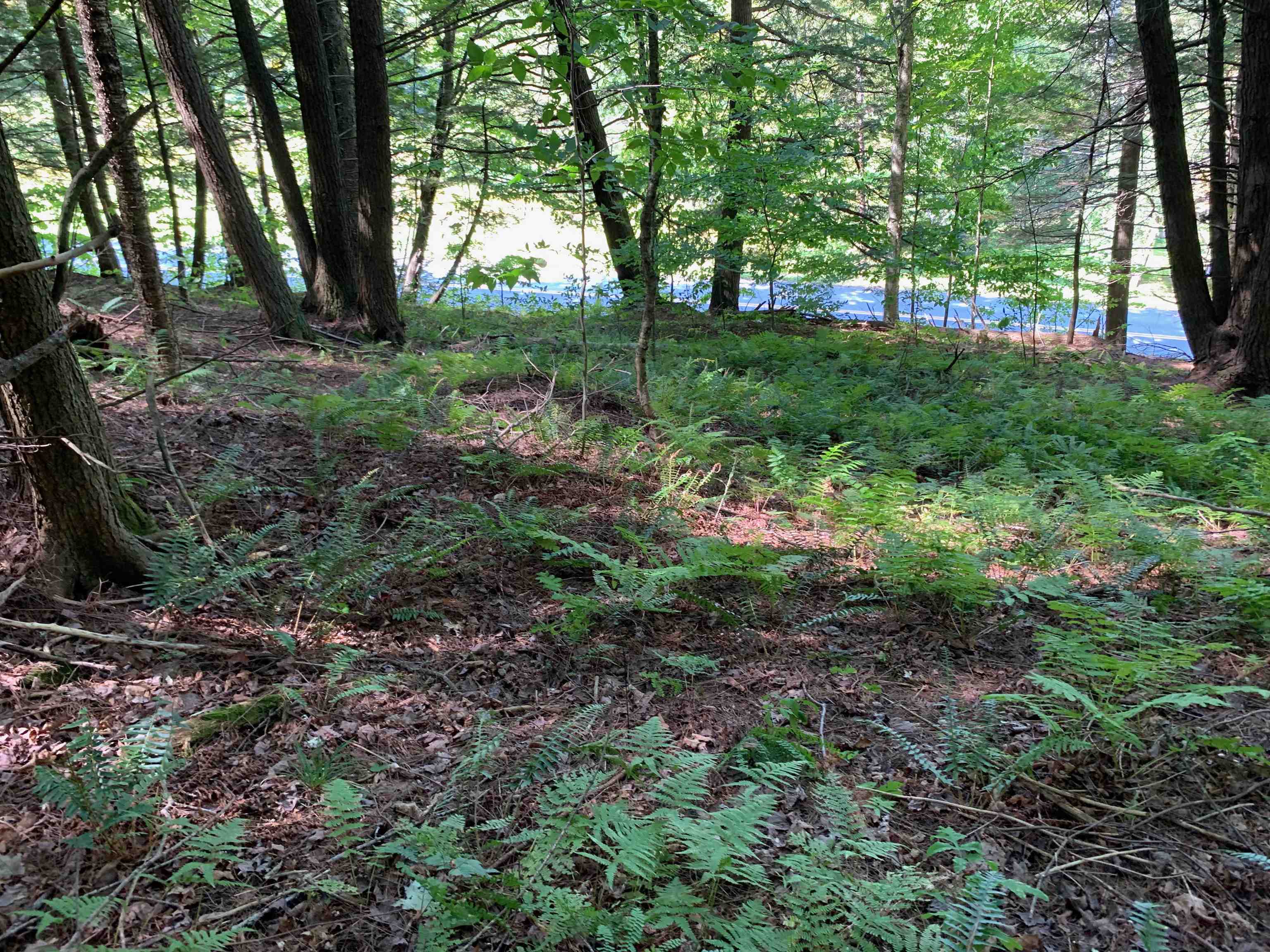 0 Howe Hill Road South Royalton, VT 05068 - Photo 1 of 22 Gallery Image 1