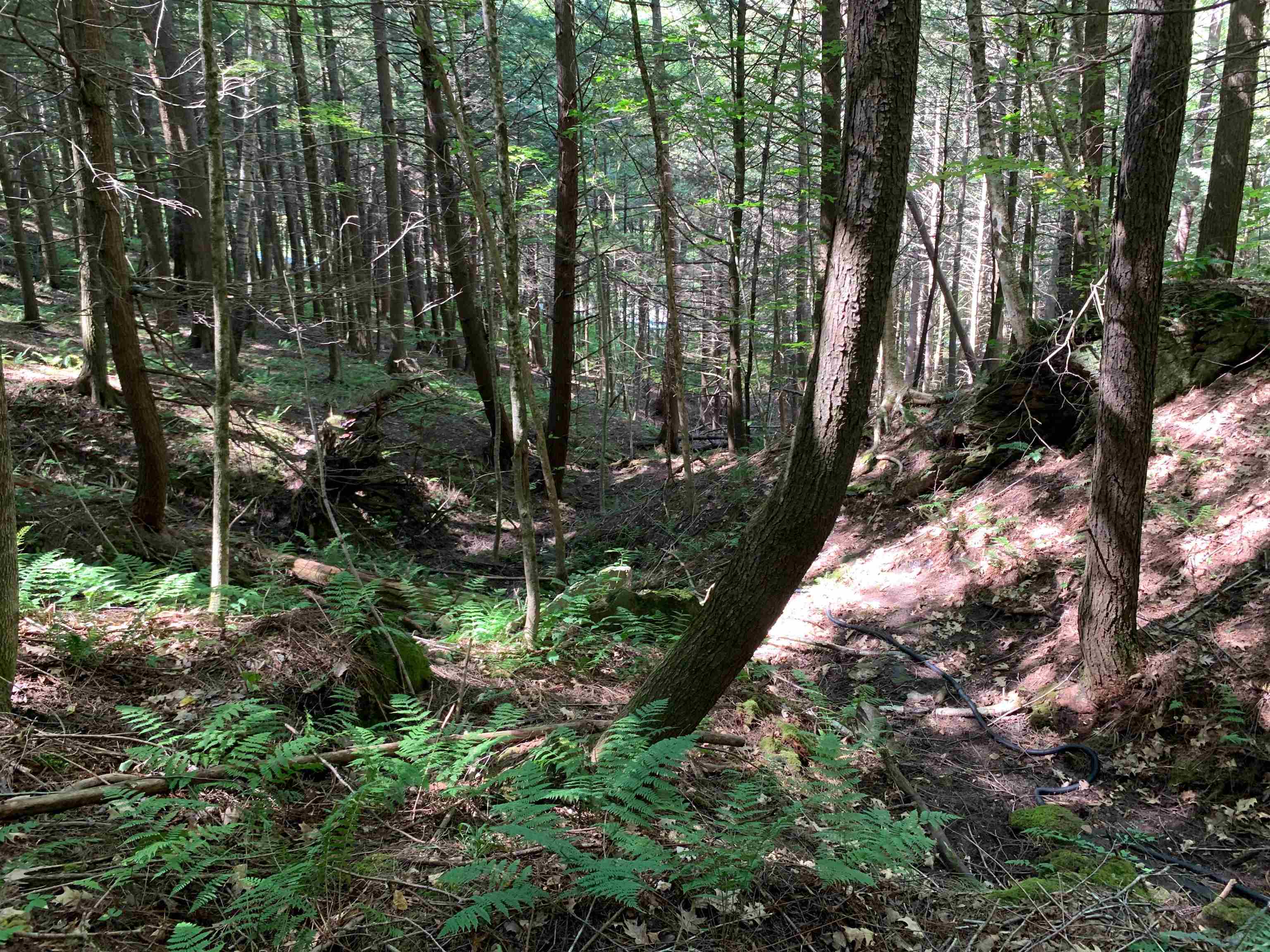 0 Howe Hill Road South Royalton, VT 05068 - Photo 8 of 22 Gallery Image 8