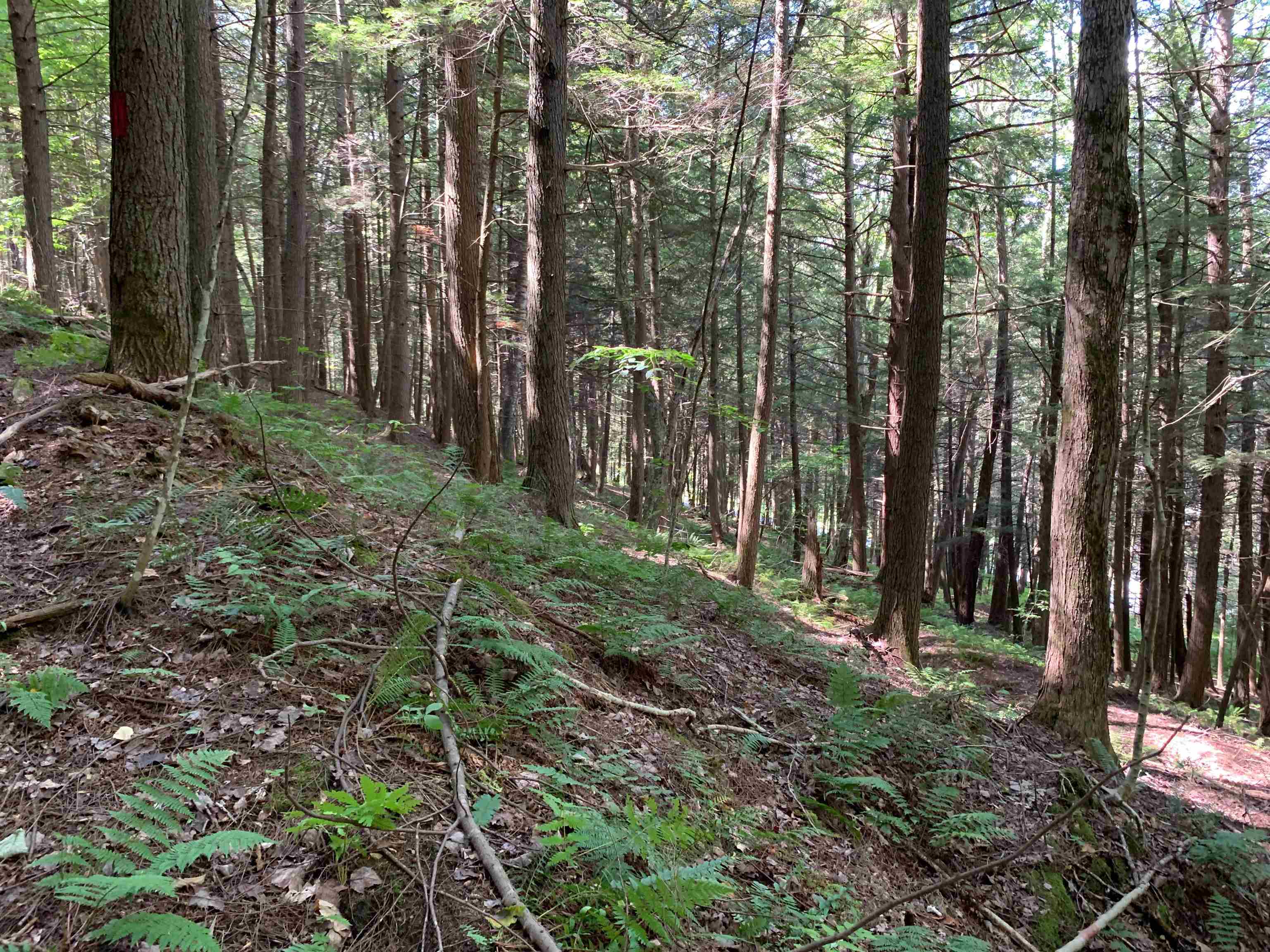 0 Howe Hill Road South Royalton, VT 05068 - Photo 10 of 22 Gallery Image 10