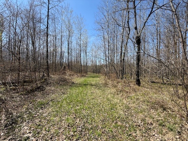 W9793 Dankes Road Phillips, WI 54555 - Photo 1 of 1 Gallery Image 1