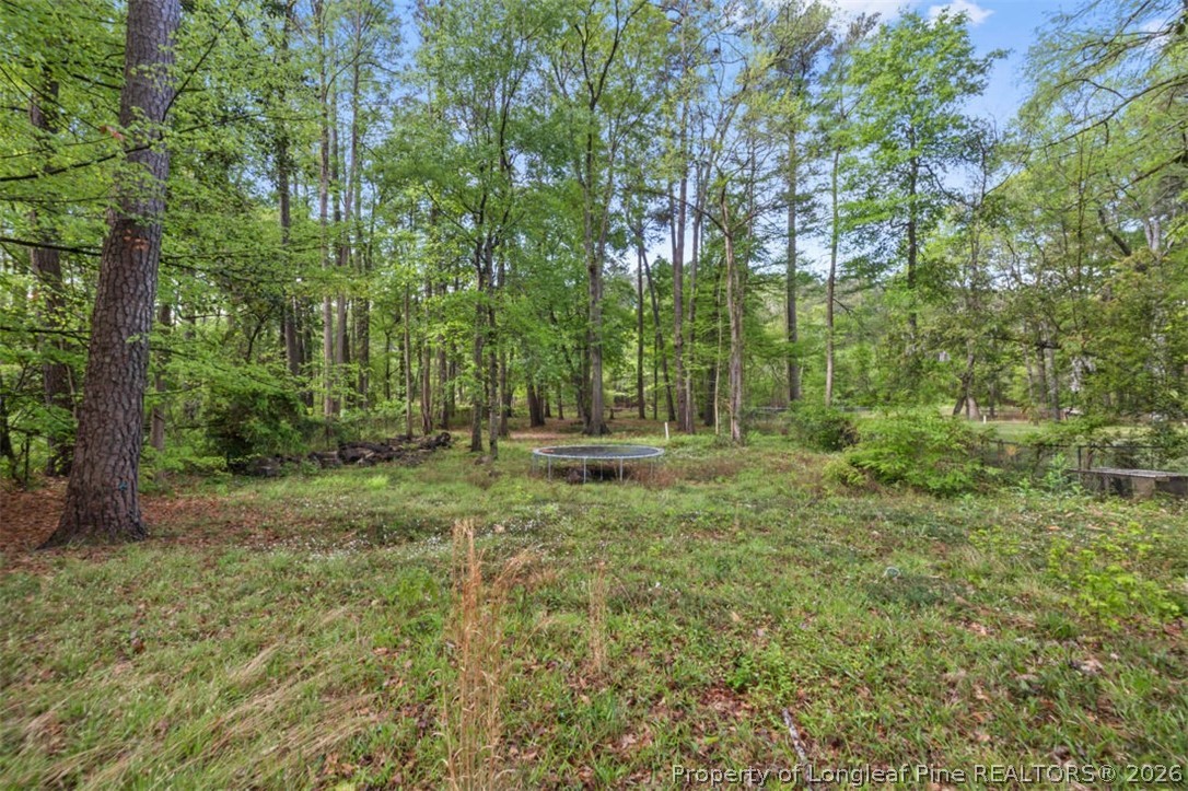 1007 Riverside Boulevard Lumberton, NC 28358 - Photo 38 of 42 a view of outdoor space and yard