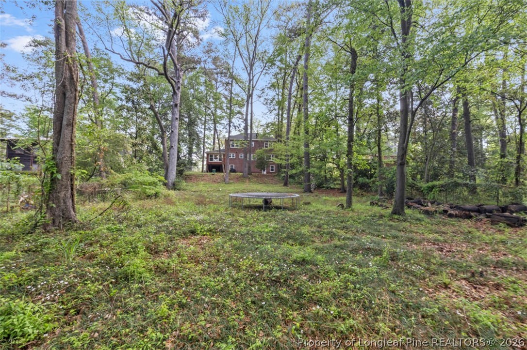 1007 Riverside Boulevard Lumberton, NC 28358 - Photo 39 of 42 a backyard of a house with lots of green space and fountain