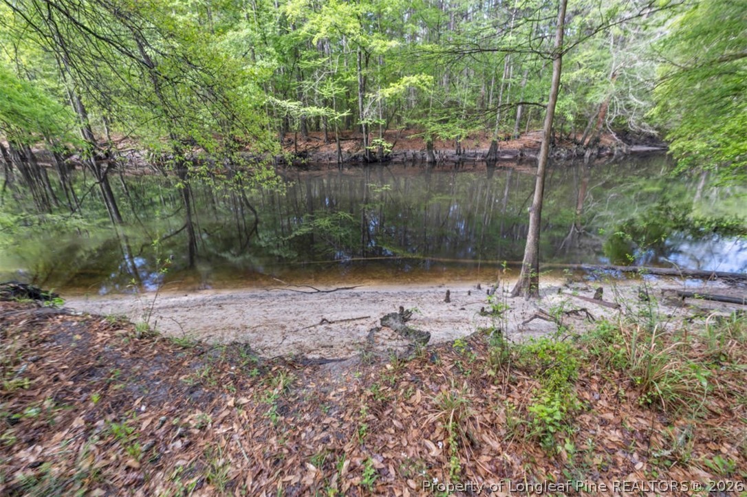 1007 Riverside Boulevard Lumberton, NC 28358 - Photo 41 of 42 a backyard of a house with lots of green space