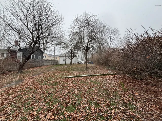 a view of yard with trees