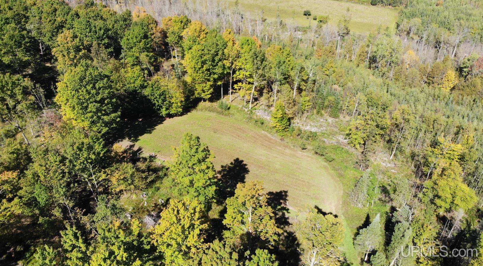 2792 County Line Road Vulcan, MI 49892 - Photo 66 of 99