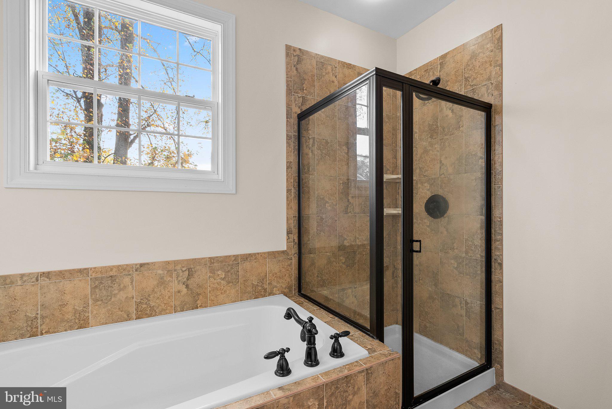 265 Lake Riviera Road Pasadena, MD 21122 - Photo 19 of 37 Soaking Tub & Separate Shower
