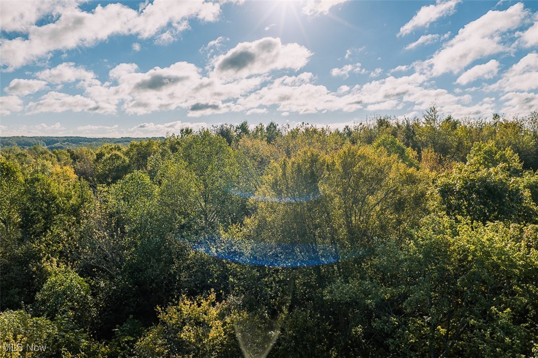 Youngstown Salem Road Salem, OH 44460 - Photo 4 of 18 Bird's eye view of a forest