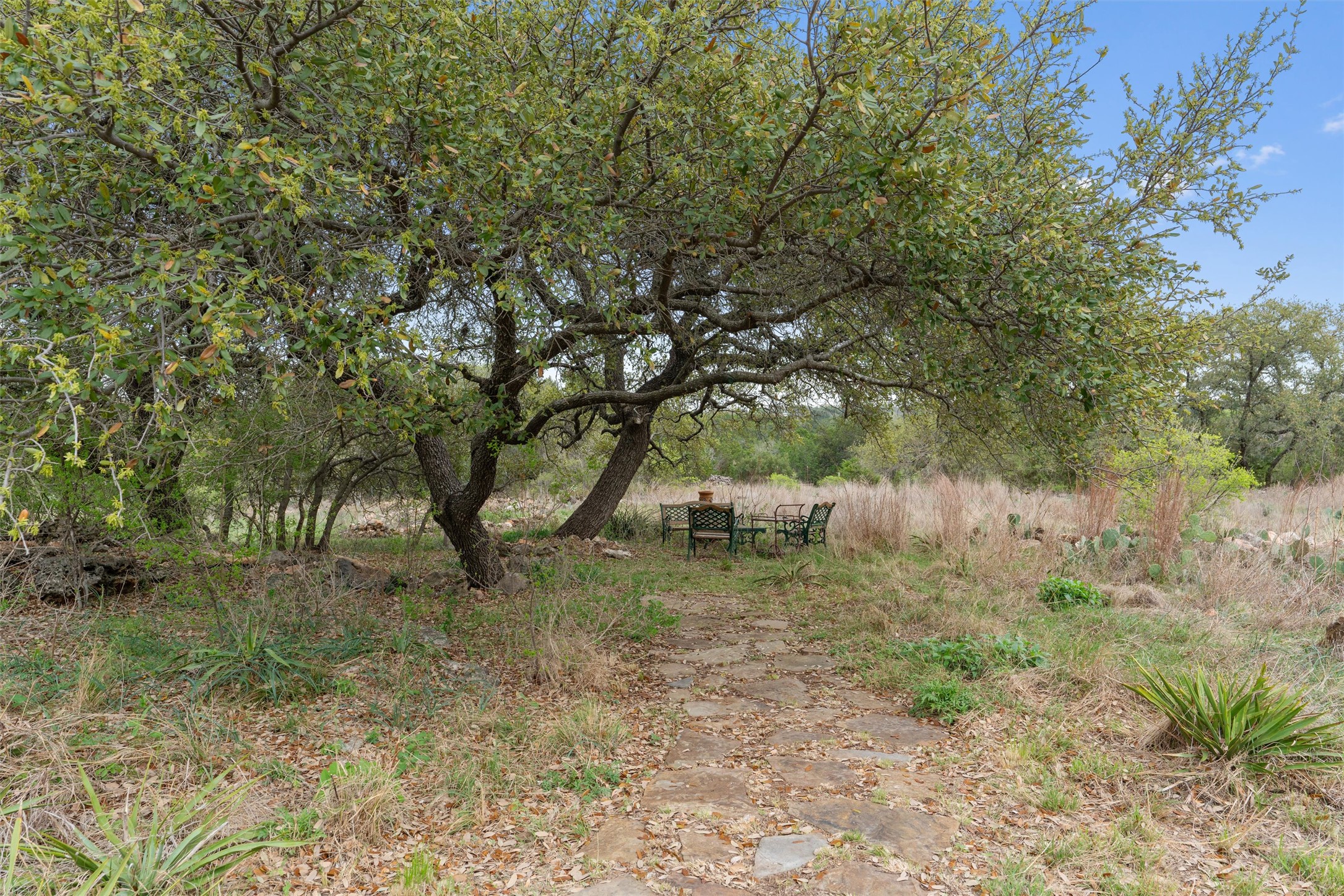 404 Skyline Road Georgetown, TX 78628 - Photo 35 of 40