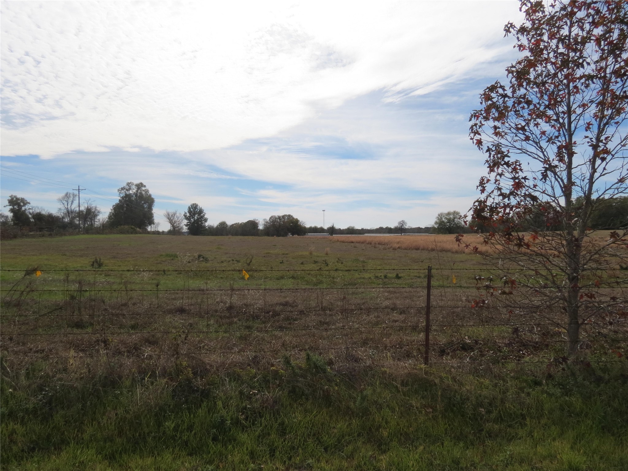 14010 Longstreet Road, Unit 1 Willis, TX 77318 - Photo 5 of 6 a view of a field with an ocean view