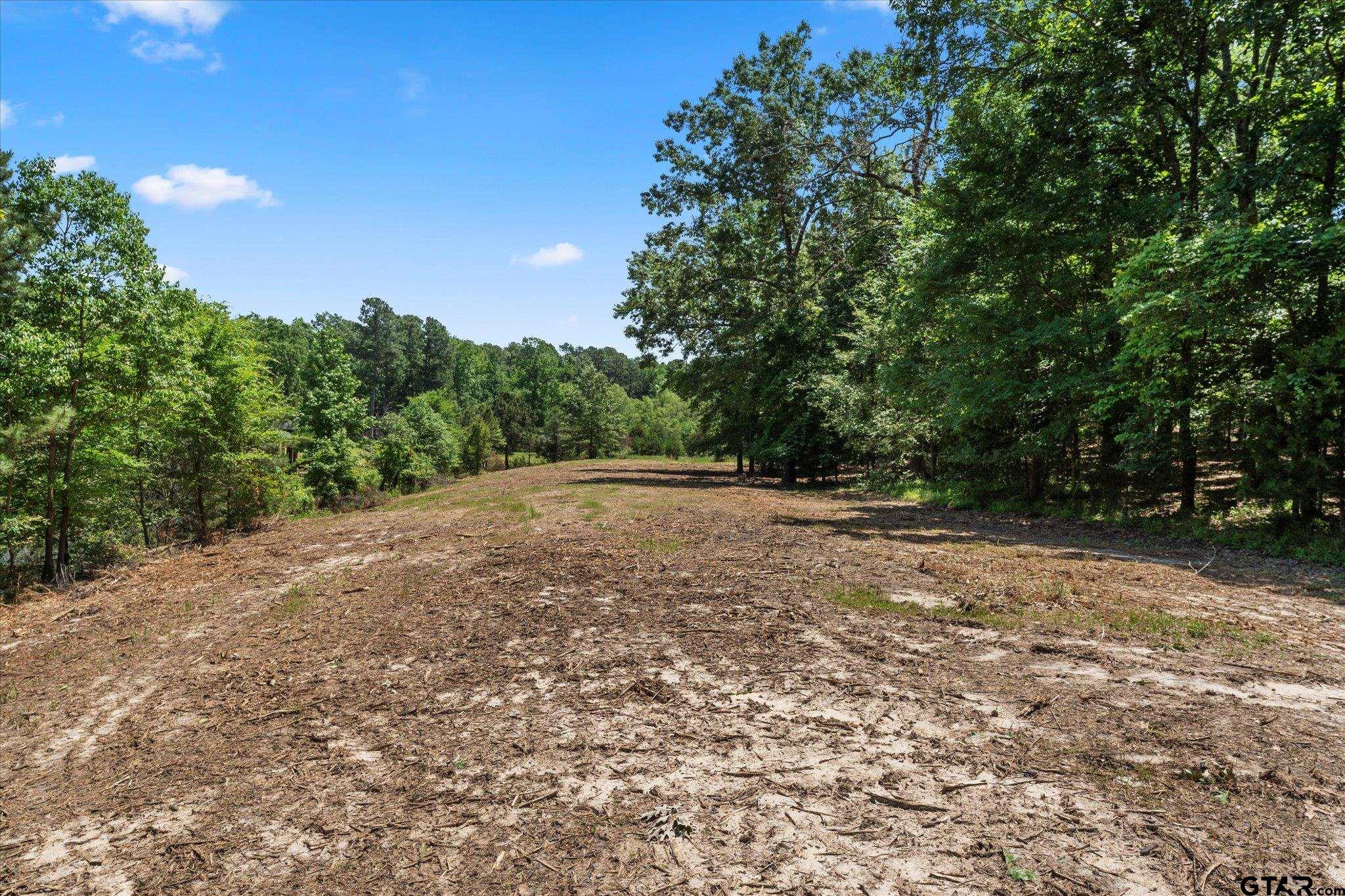 66 R King Fredrick Court Scroggins, TX 75480 - Photo 11 of 21 a view of dirt field with trees in the background