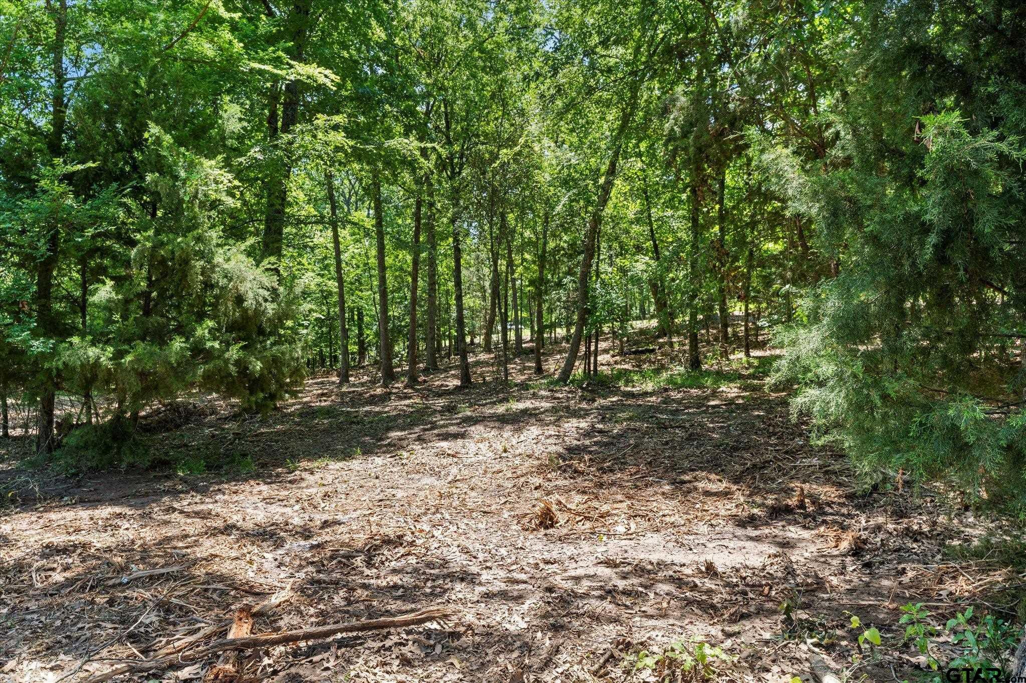 66 R King Fredrick Court Scroggins, TX 75480 - Photo 12 of 21 a view of outdoor space and trees