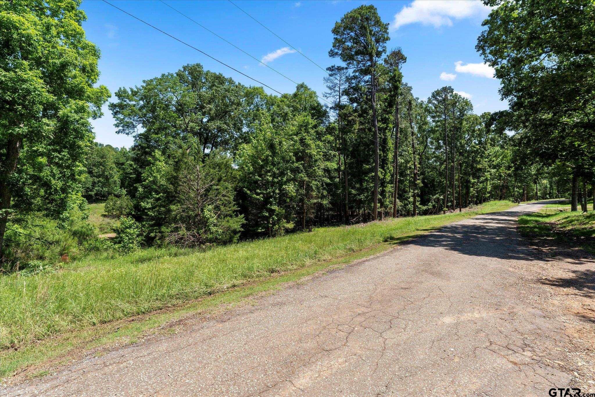 66 R King Fredrick Court Scroggins, TX 75480 - Photo 4 of 21 a view of a yard with plants and a trees