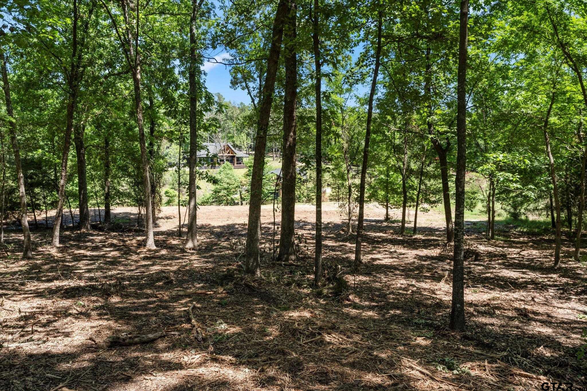 66 R King Fredrick Court Scroggins, TX 75480 - Photo 5 of 21 a view of a forest filled with trees