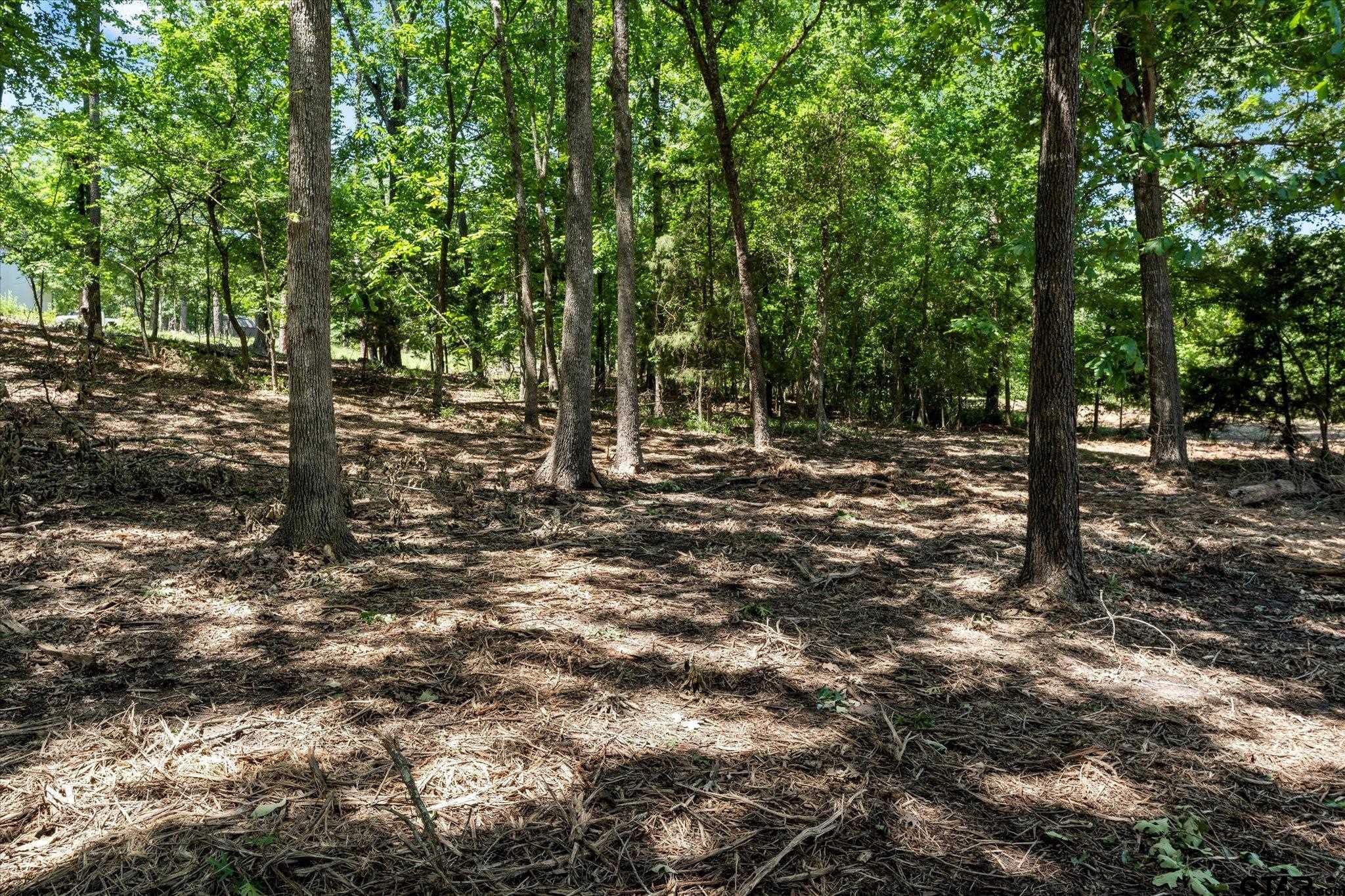 66 R King Fredrick Court Scroggins, TX 75480 - Photo 6 of 21 a big yard with lots of green space and trees all around