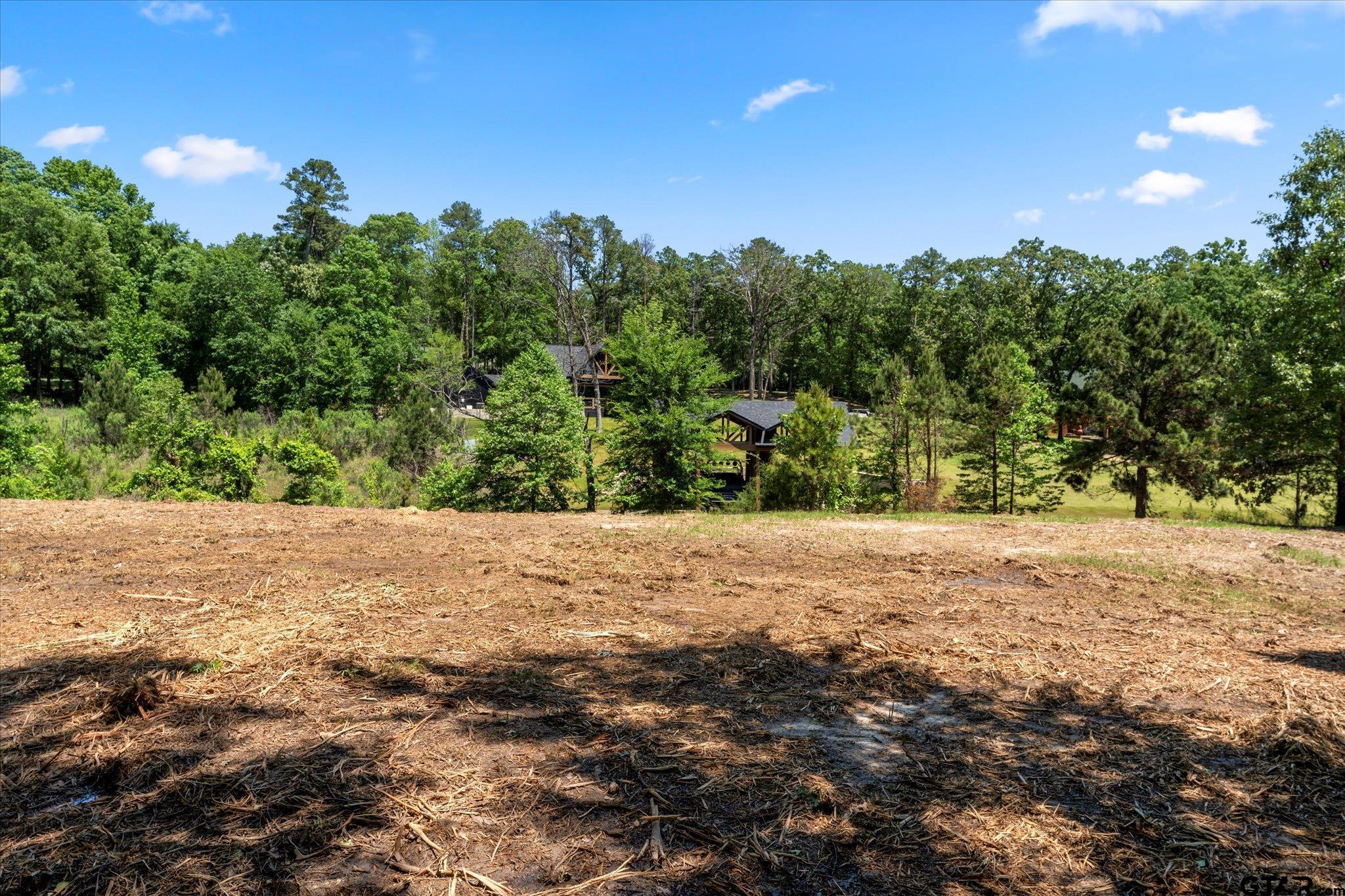 66 R King Fredrick Court Scroggins, TX 75480 - Photo 7 of 21 a view of a field with a tree in the background
