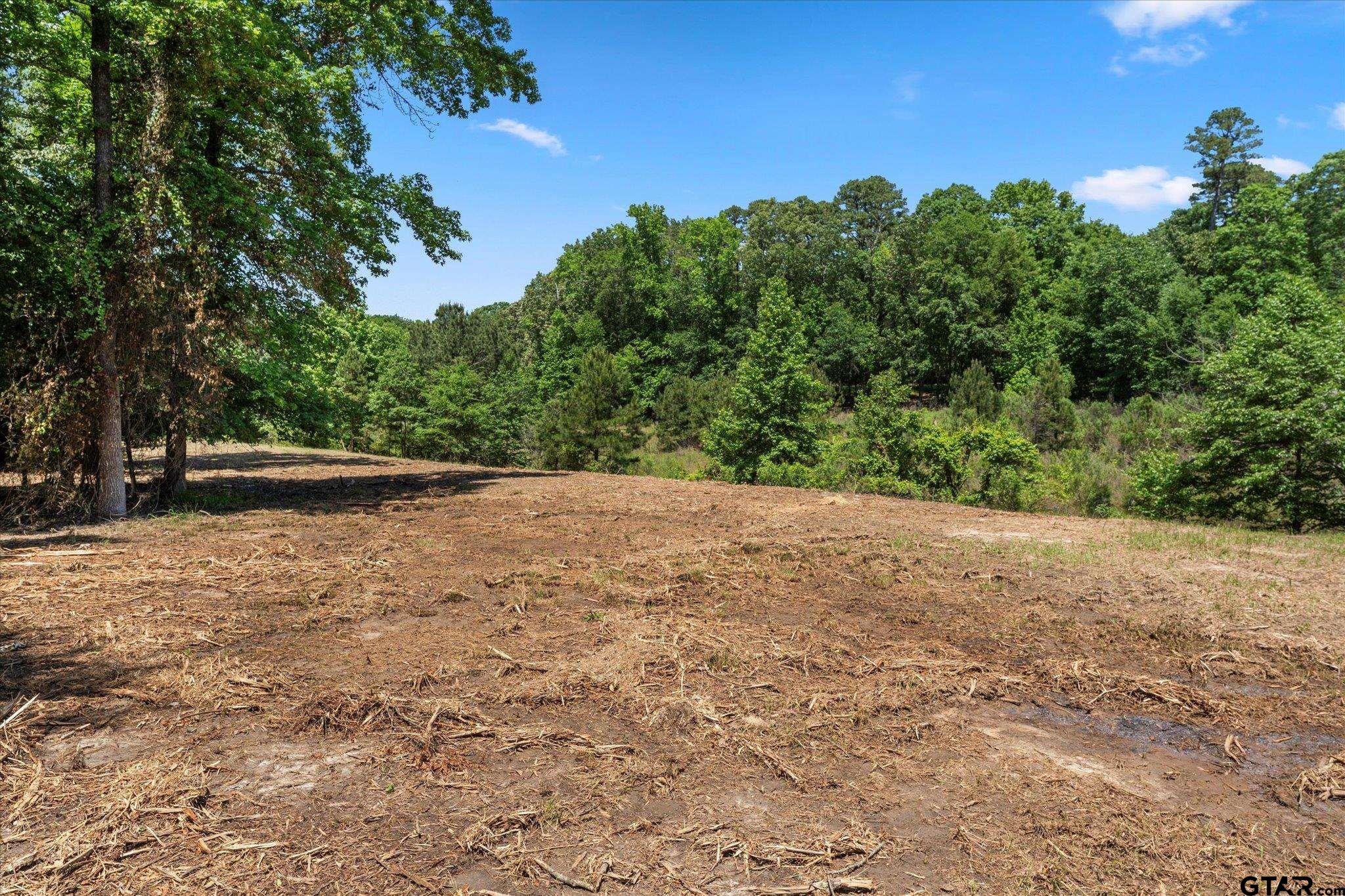 66 R King Fredrick Court Scroggins, TX 75480 - Photo 8 of 21 a view of outdoor space and yard
