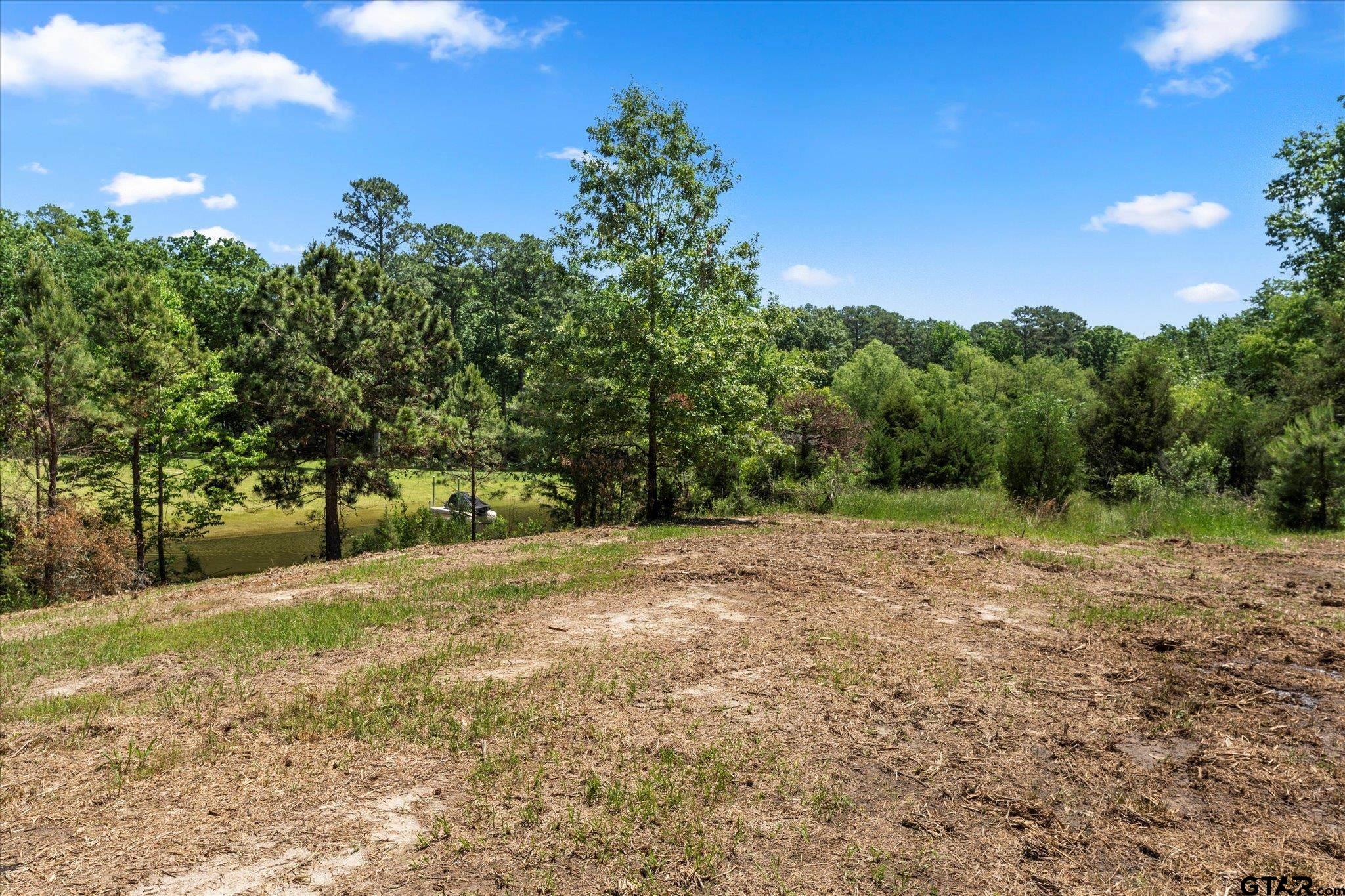 66 R King Fredrick Court Scroggins, TX 75480 - Photo 9 of 21 a view of a yard with a tree
