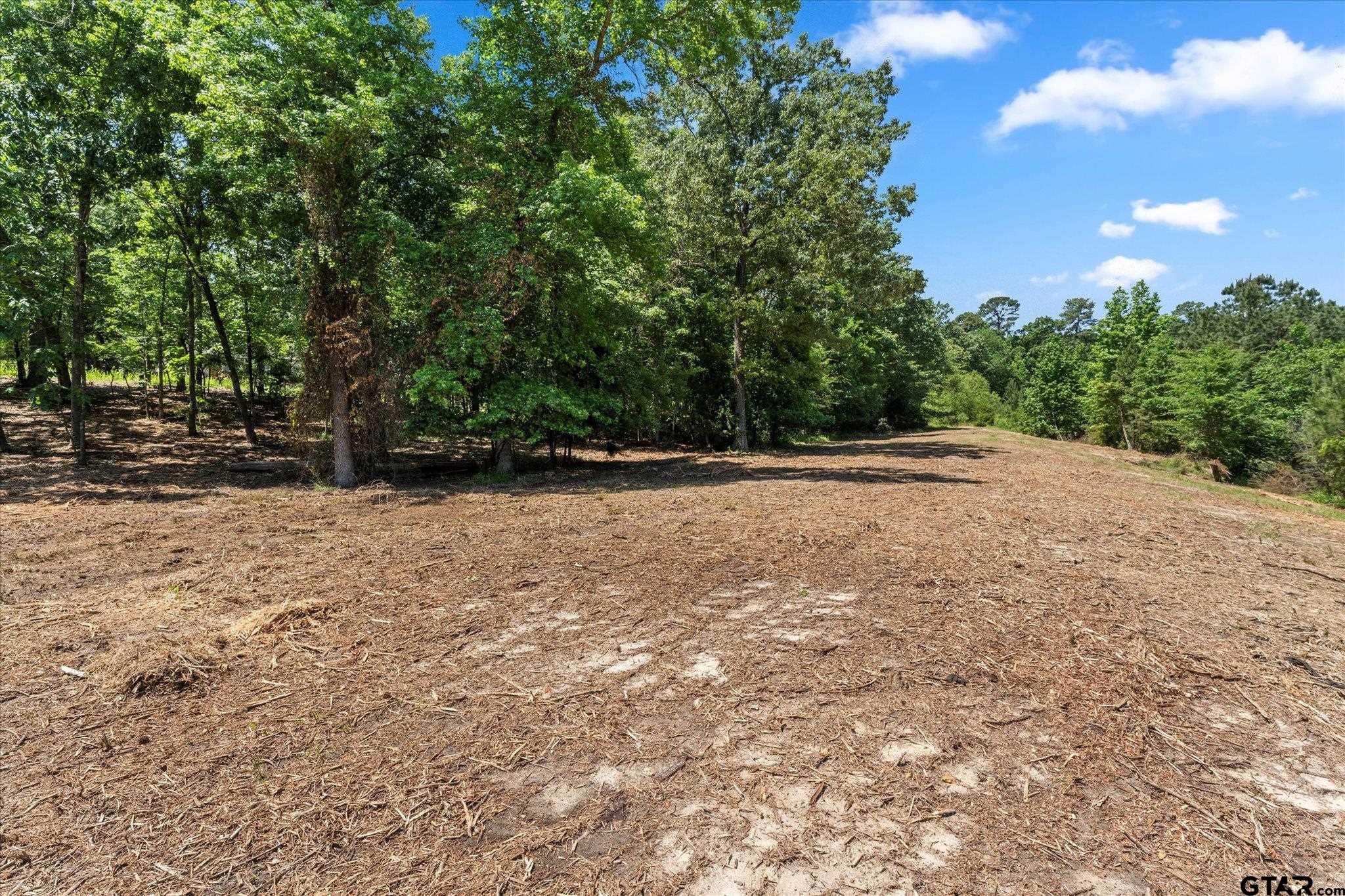 66 R King Fredrick Court Scroggins, TX 75480 - Photo 10 of 21 a view of outdoor space and yard